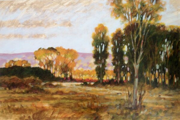Verde Valley by Robert Chapman