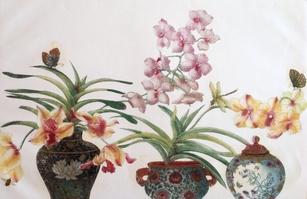 Butterflies and Orchids by Simel
