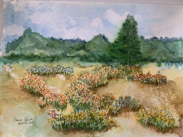 Spring Flowers