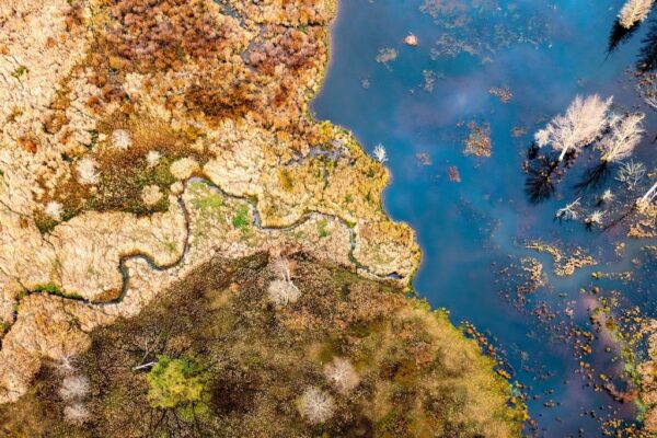 Above and Below