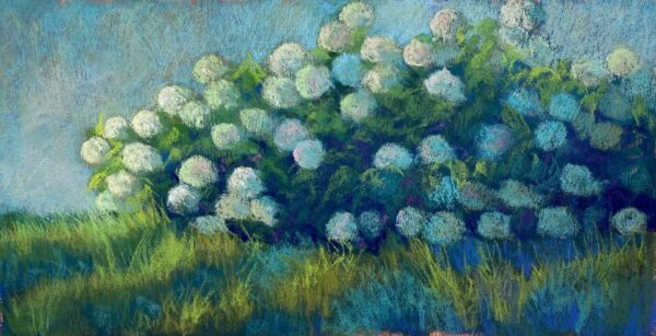 Hydrangea Blues by Jean Hirons