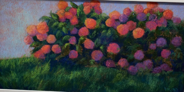 Hydrangea Pinks by Jean Hirons