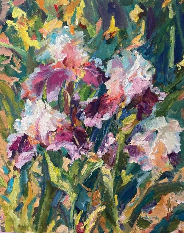 Garden Irises