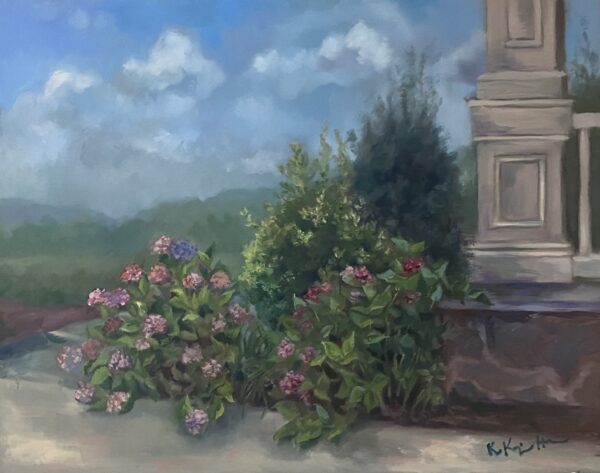 Summer Hydrangeas