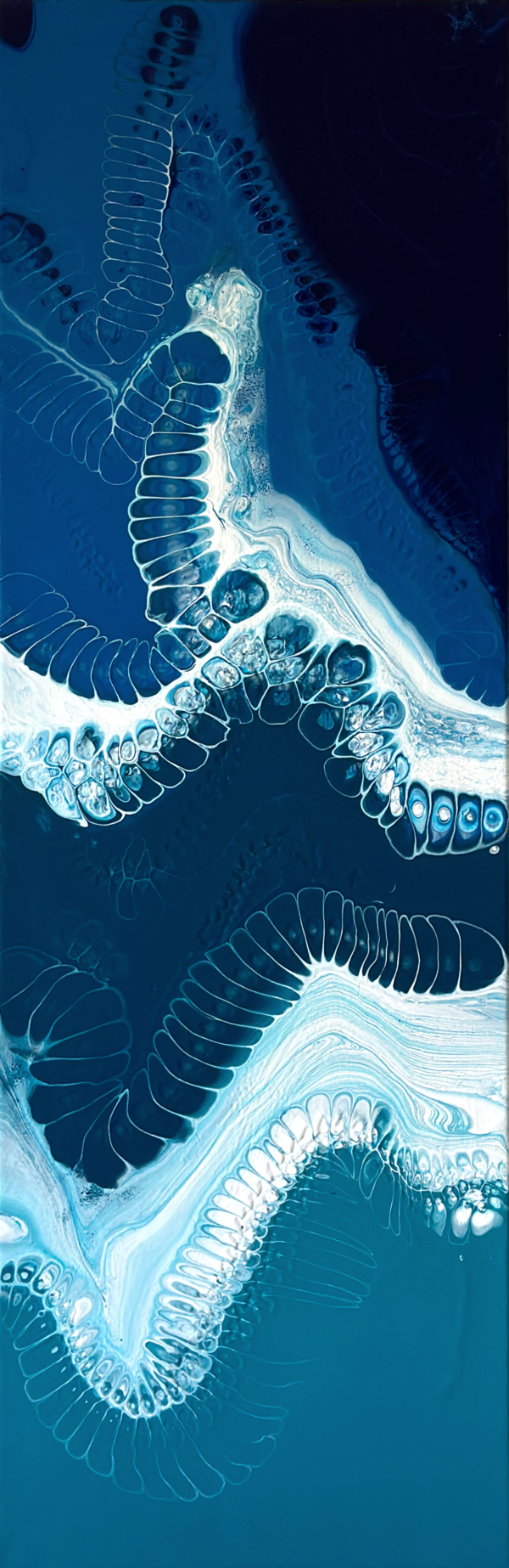 Anatomy of a Virus (Set of 2) by Ella Soroori