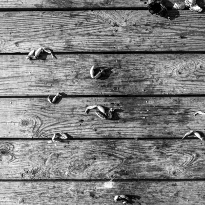 "Pier, Lunch Time," 1993 by Russ Suniewick