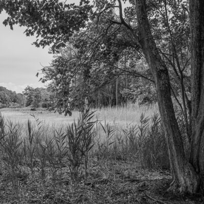 Delaware River and Rehoboth Bay Canal by Russ Suniewick