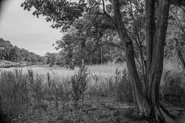 Delaware River and Rehoboth Bay Canal by Russ Suniewick