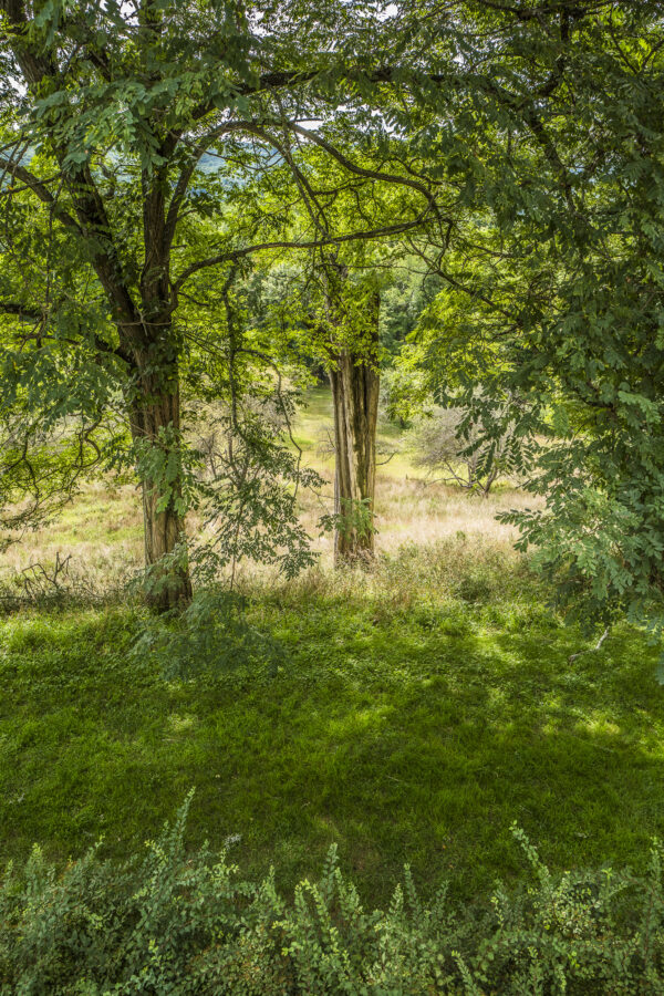 FDR Garden, Hyde Park, NY by Russ Suniewick