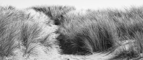 Jenner, CA, Pacific Beach, at the Russian River  by Russ Suniewick