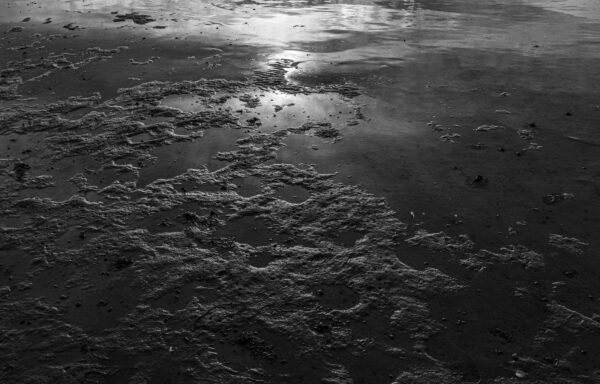 Low Tide at Indian River Inlet Bay, Ocean View, DE by Russ Suniewick