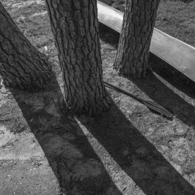 Nice Legs by Russ Suniewick