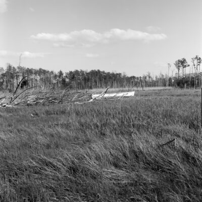 Pasture Point Cove, Indian River Inlet Bay, 1966 by Russ Suniewick