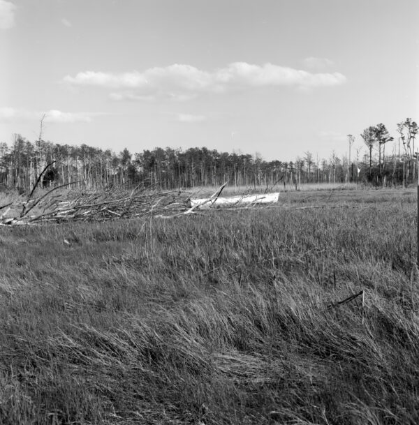 Pasture Point Cove, Indian River Inlet Bay, 1966 by Russ Suniewick