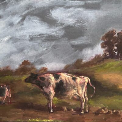 Cows in the Field by Jackson Margolis