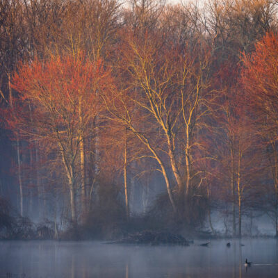 Huntley Sunrise by Craig Johnson
