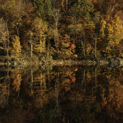 Widewater Autumn by Craig Johnson