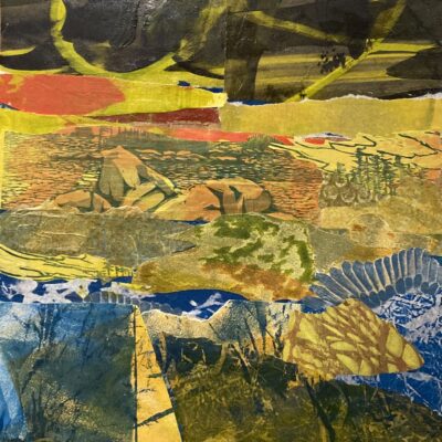 Bird River by Joan Samworth
