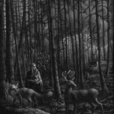 From the Beginning by Kate Samworth