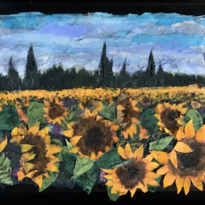 Sunflower Field Study by Ronni Jolles