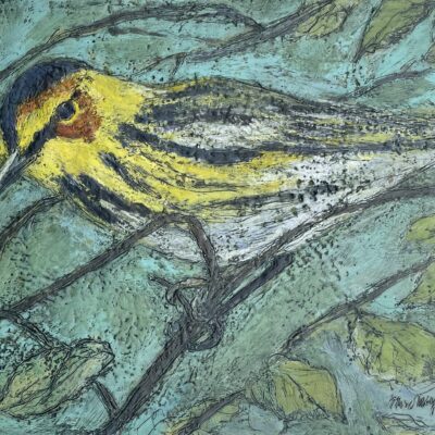 Cape May Warbler by Marcie Wolf-Hubbard