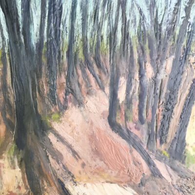 Path at Adkins Arboretum by Marcie Wolf-Hubbard