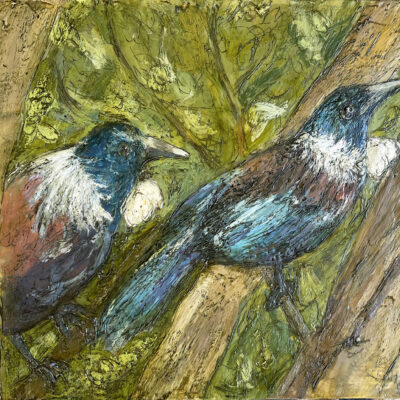 Tui Birds in Tiritiri Matangi by Marcie Wolf-Hubbard