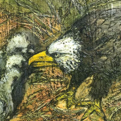 Eagle with Eaglets, three by Marcie Wolf-Hubbard
