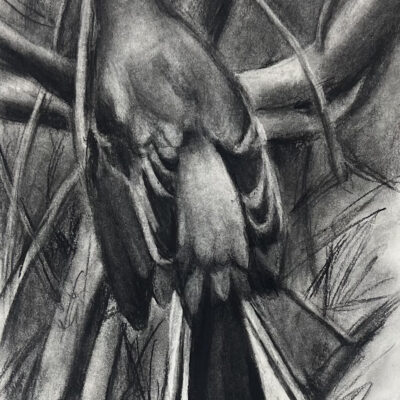 Mockingbird back charcoal by Marcie Wolf-Hubbard